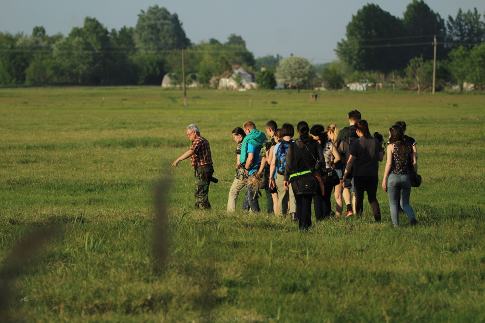 img-7161