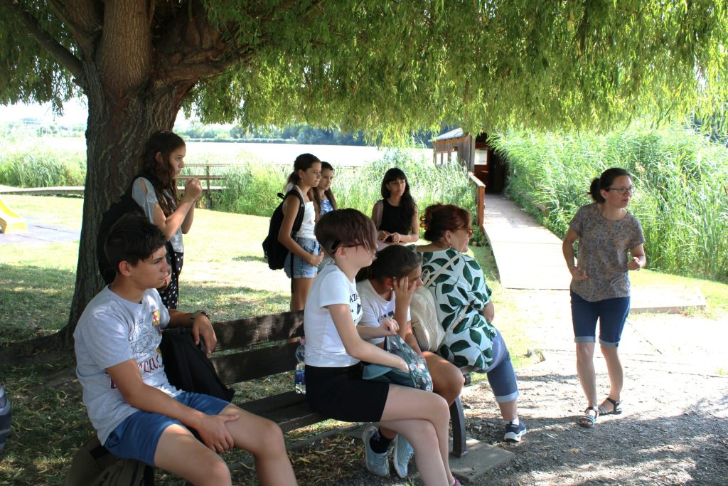 img-7424-01-scaled-1