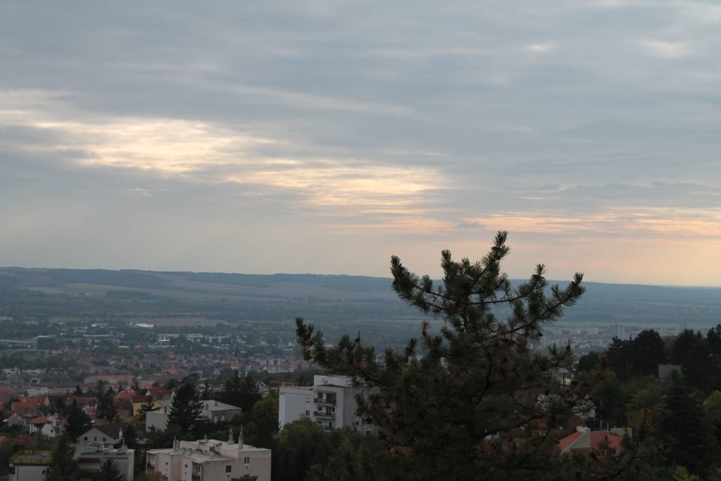 img-7645-2