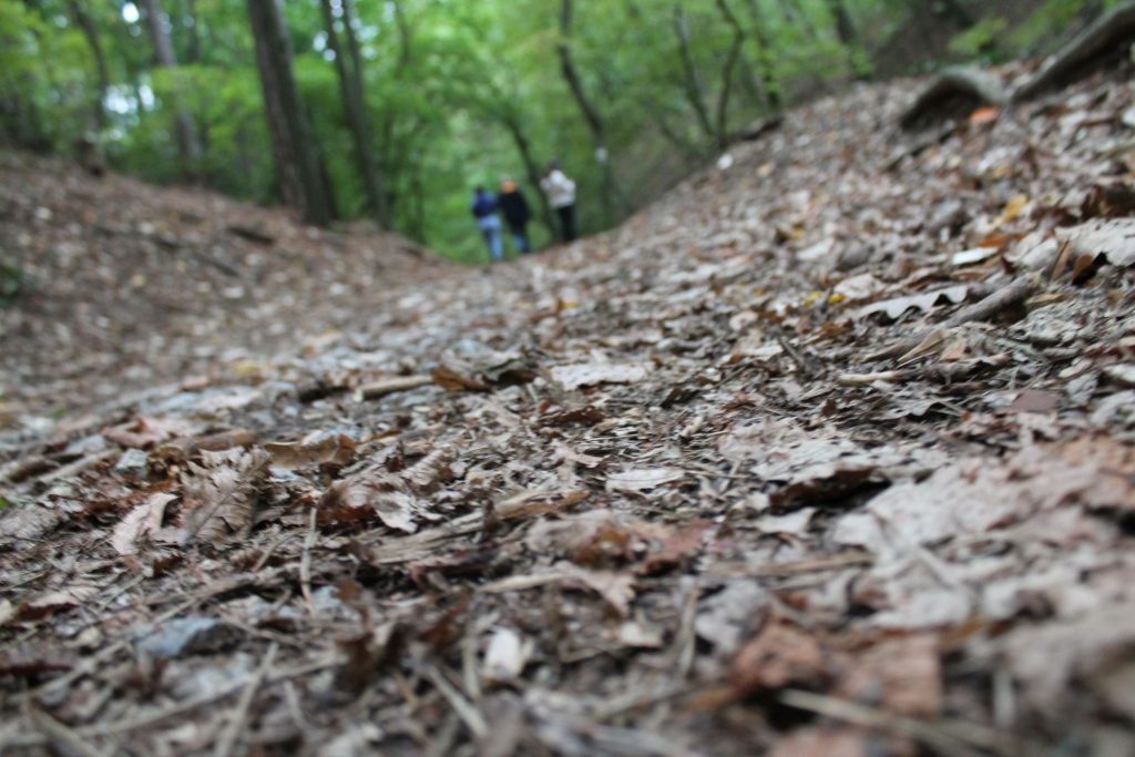 img-7712-1