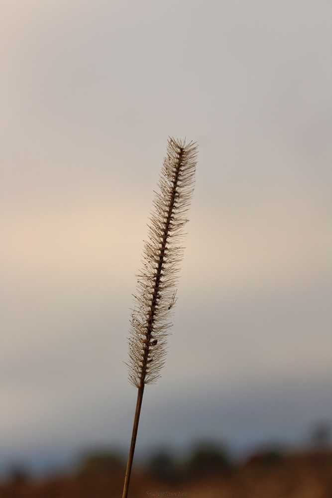 img-7787-01-1