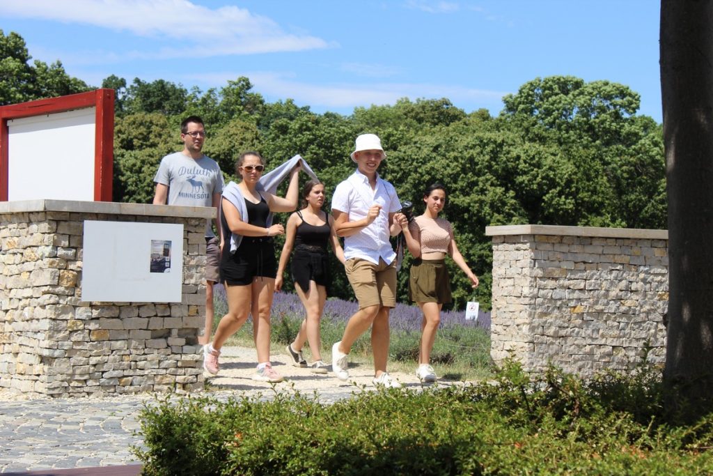 img-8004