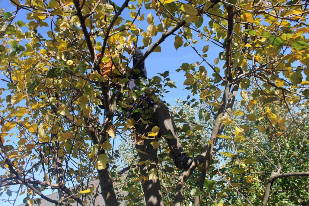 img-8084-scaled-2
