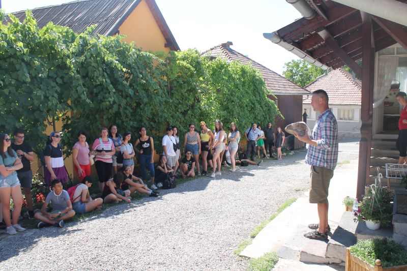 img-8181