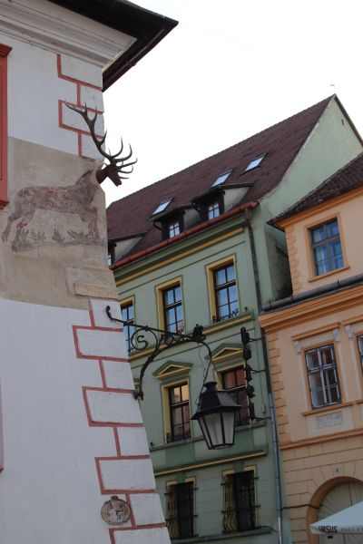 img-8192
