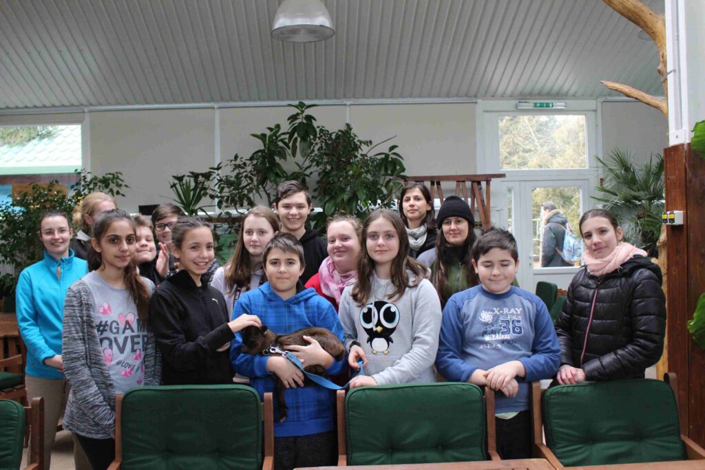 img-8252