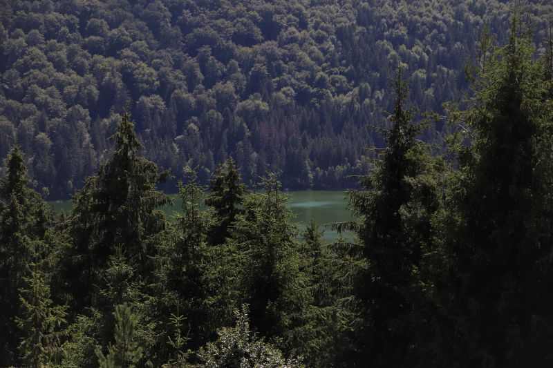img-8252-2