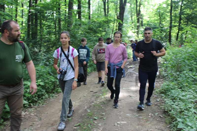 img-8278