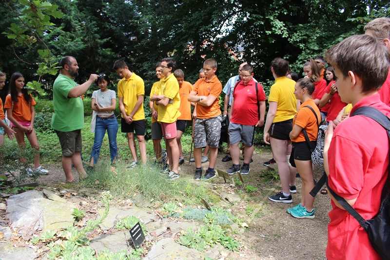 img-8484