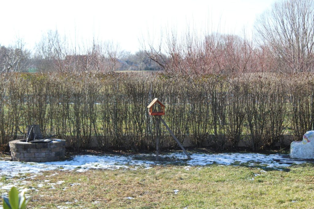img-8491-scaled-1