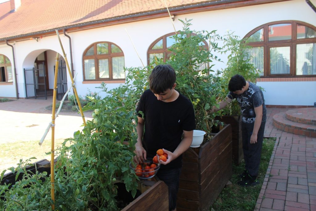 img-8547