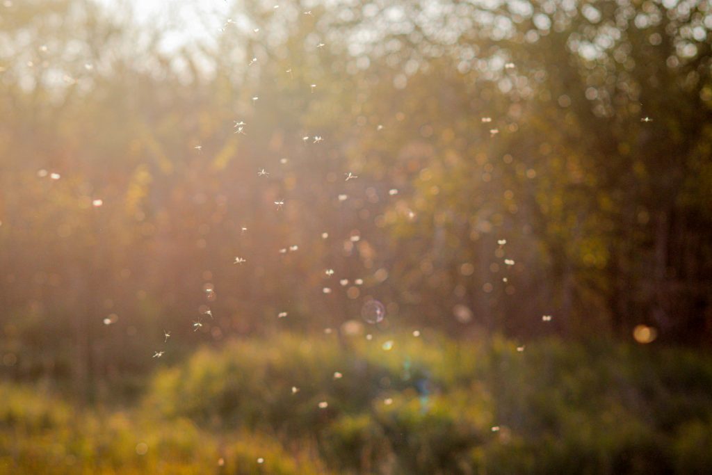 img-8607