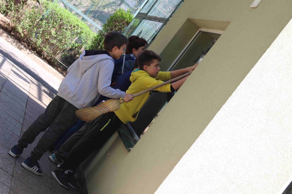 img-8666