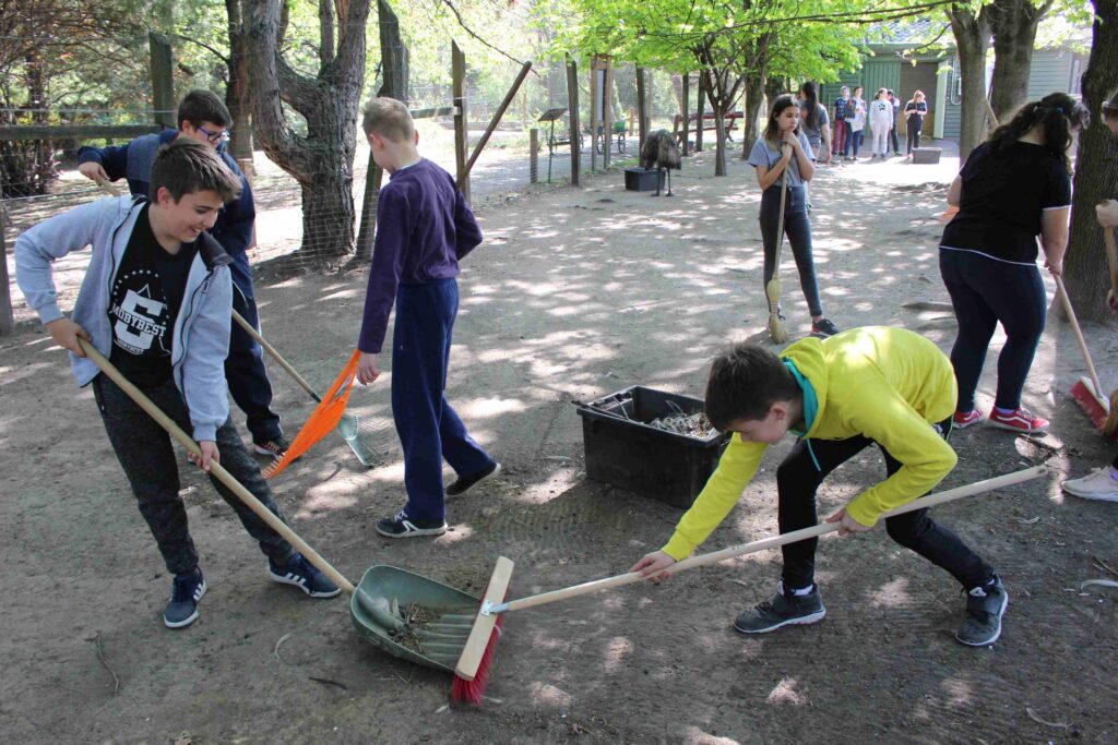 img-8961
