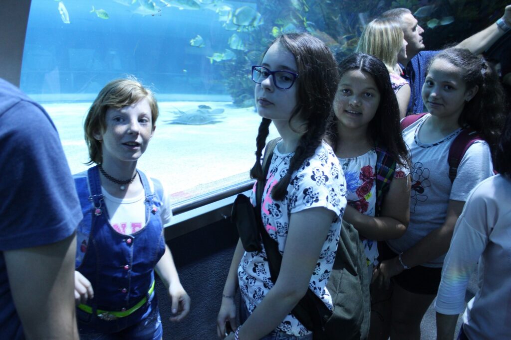 img-9081