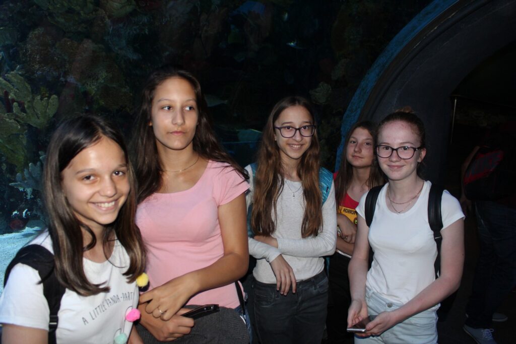 img-9083