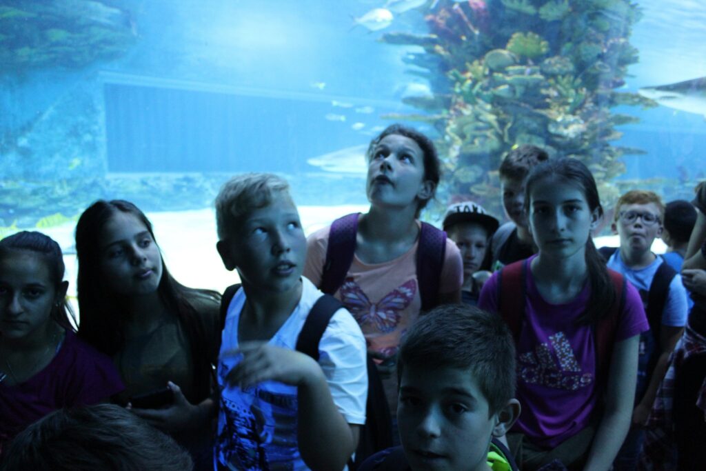 img-9090