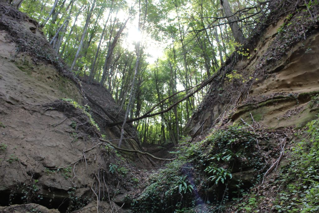 img-9470-scaled-1