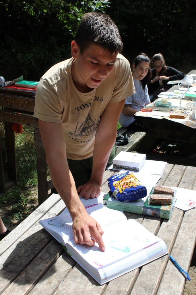 img-9586-rotated-1