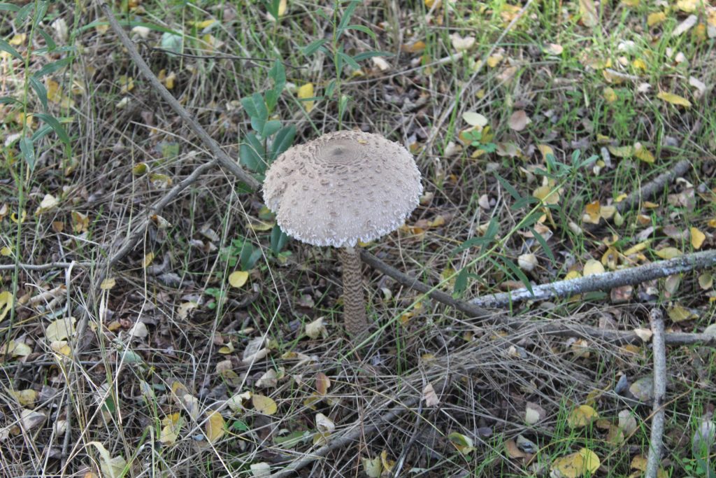 img-9758-scaled-1