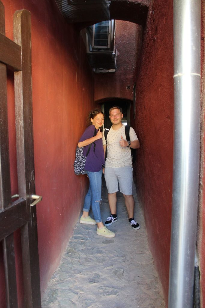 img-9764-rotated-1
