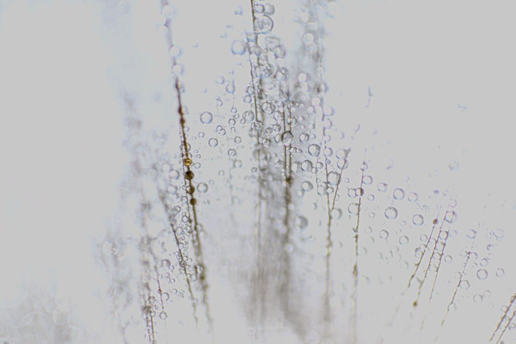 img-9793-2