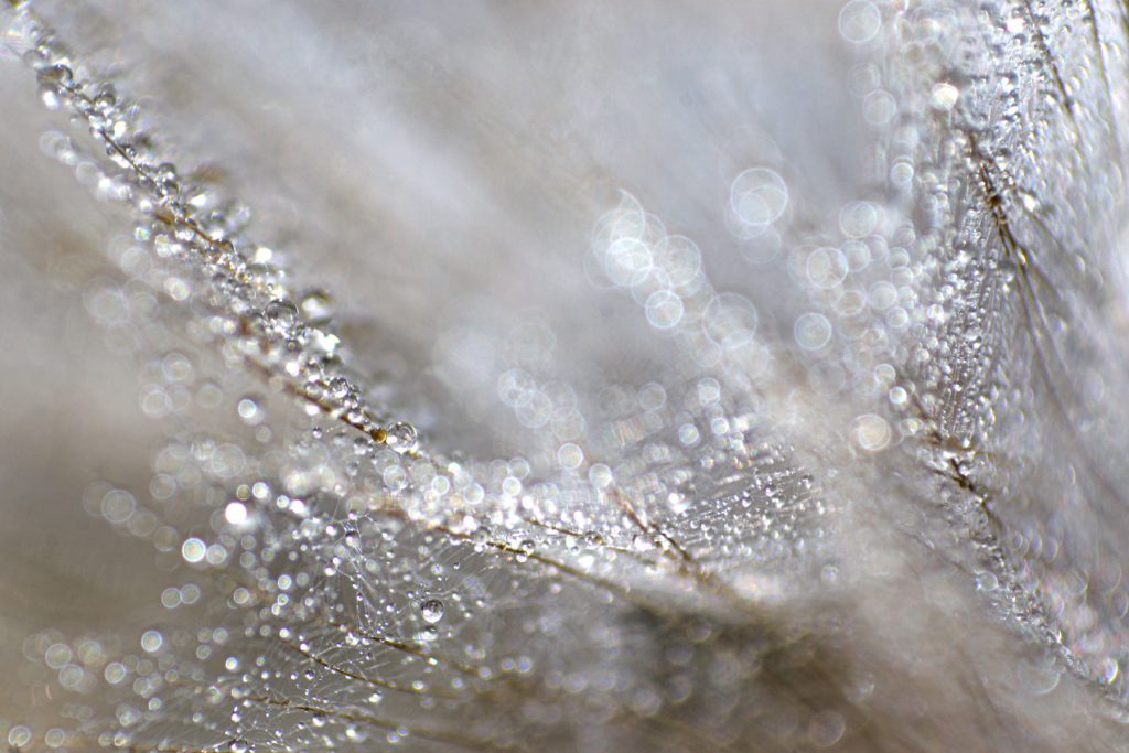 img-9802-1