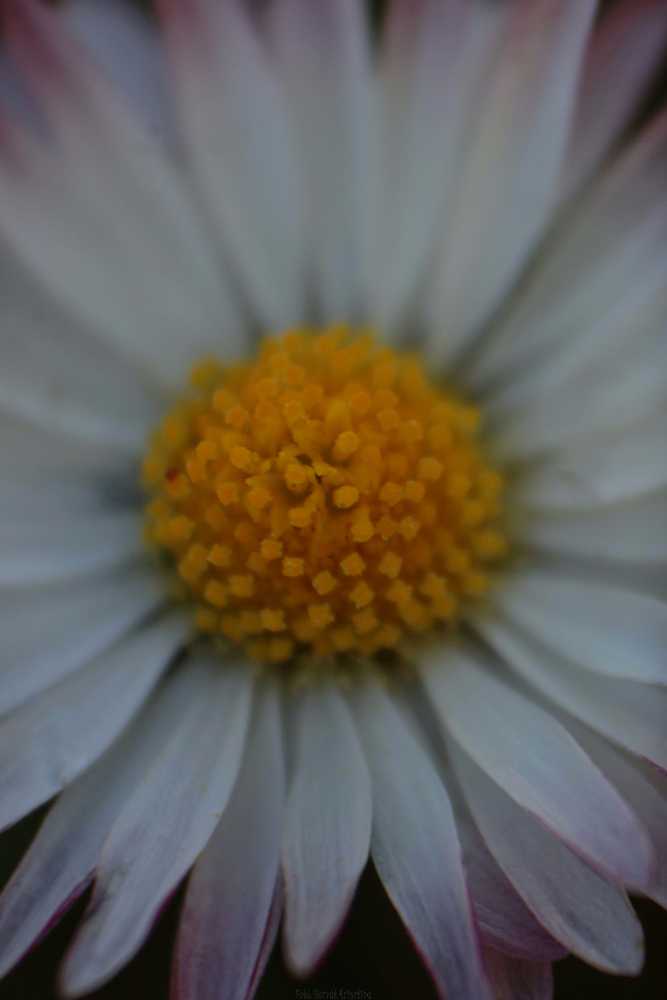 img-9804-01-01-2