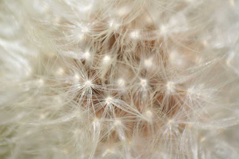 img-9818-01-1