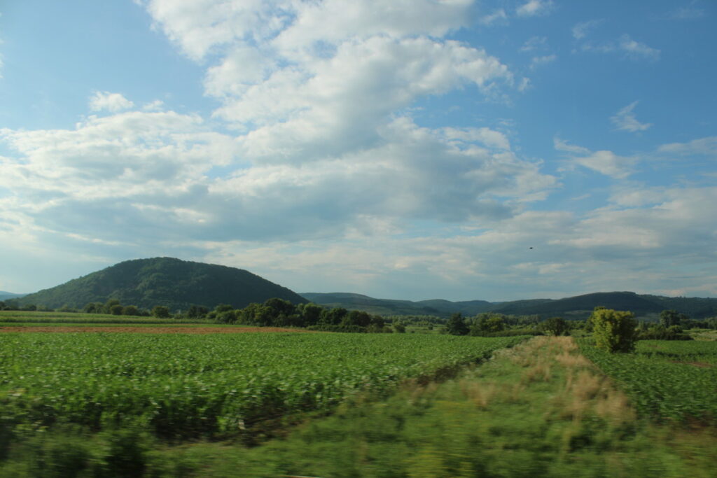 img-9846-1