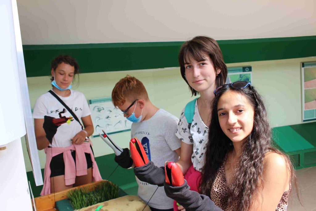 img-9846-scaled-2