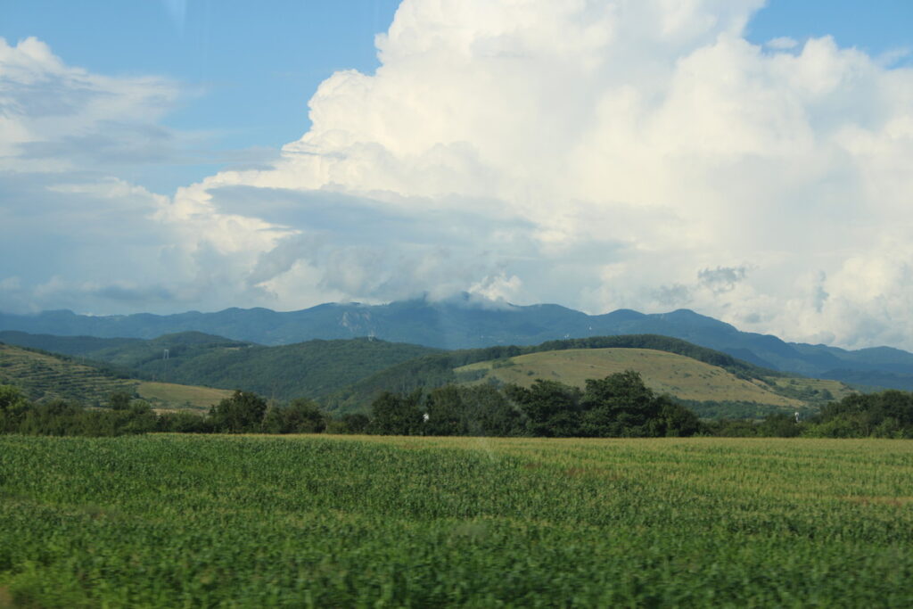 img-9856