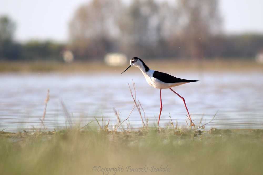 img-9862