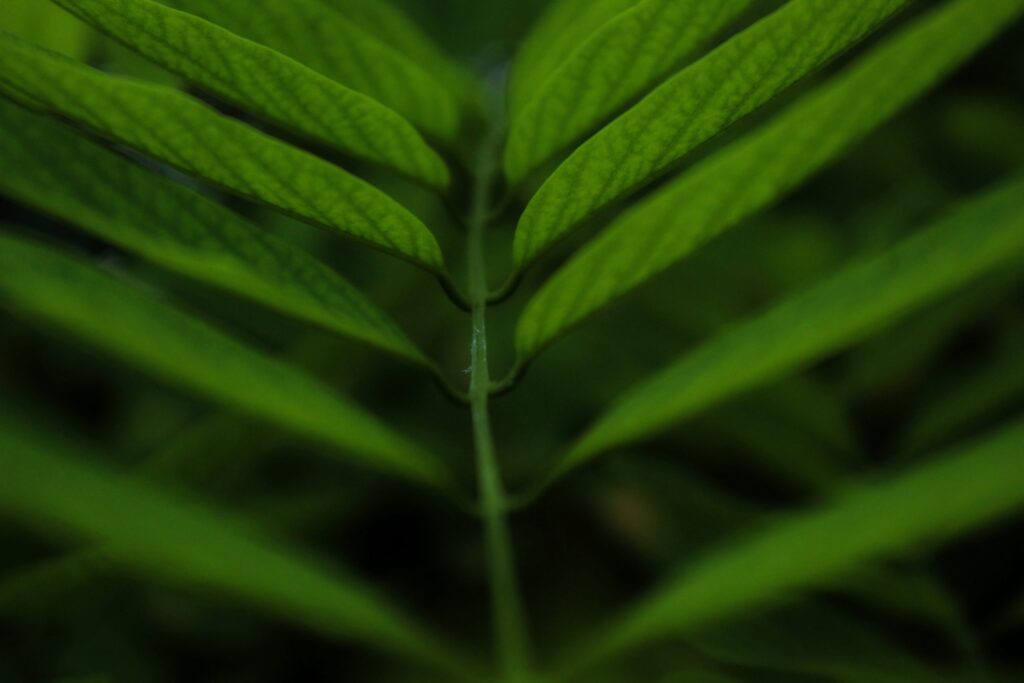img-9871-02-scaled-5