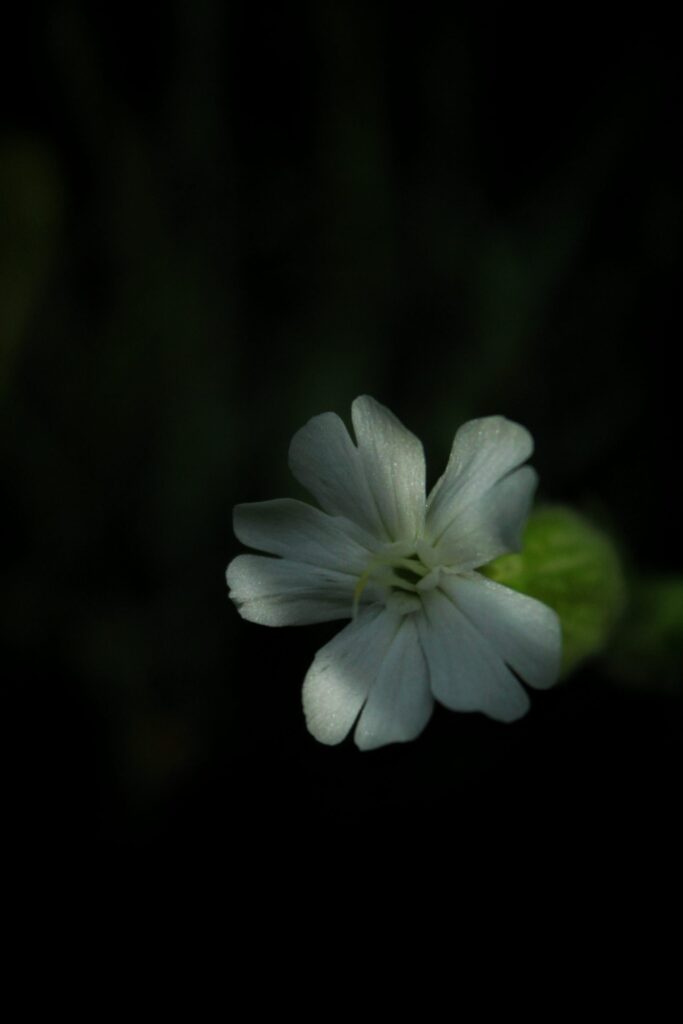 img-9881-01-scaled-5