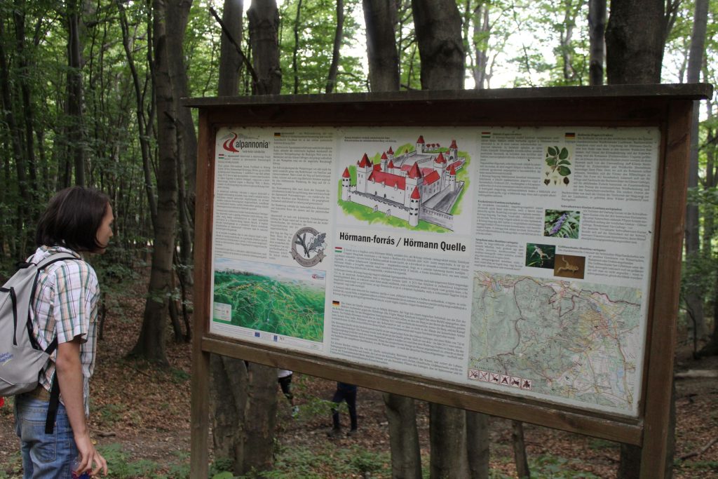 img-9881-2