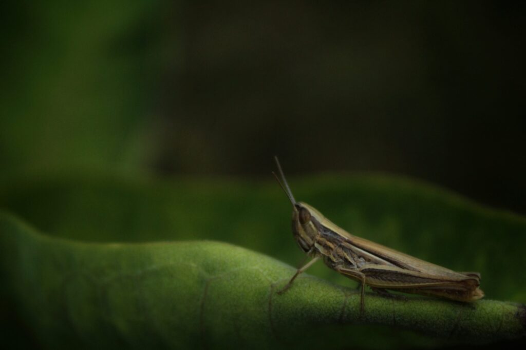 img-9885-02-scaled-5
