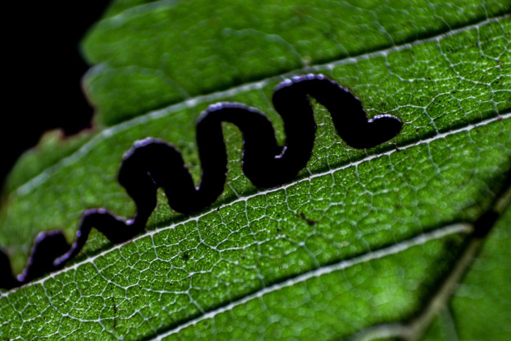 img-9921-1