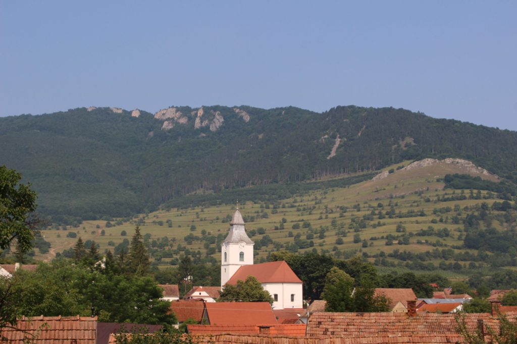 img-9959-6