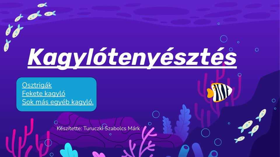 kagylo-garnela-tenyesztes-7