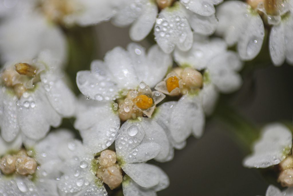 kezdo-makro-606669ei-01