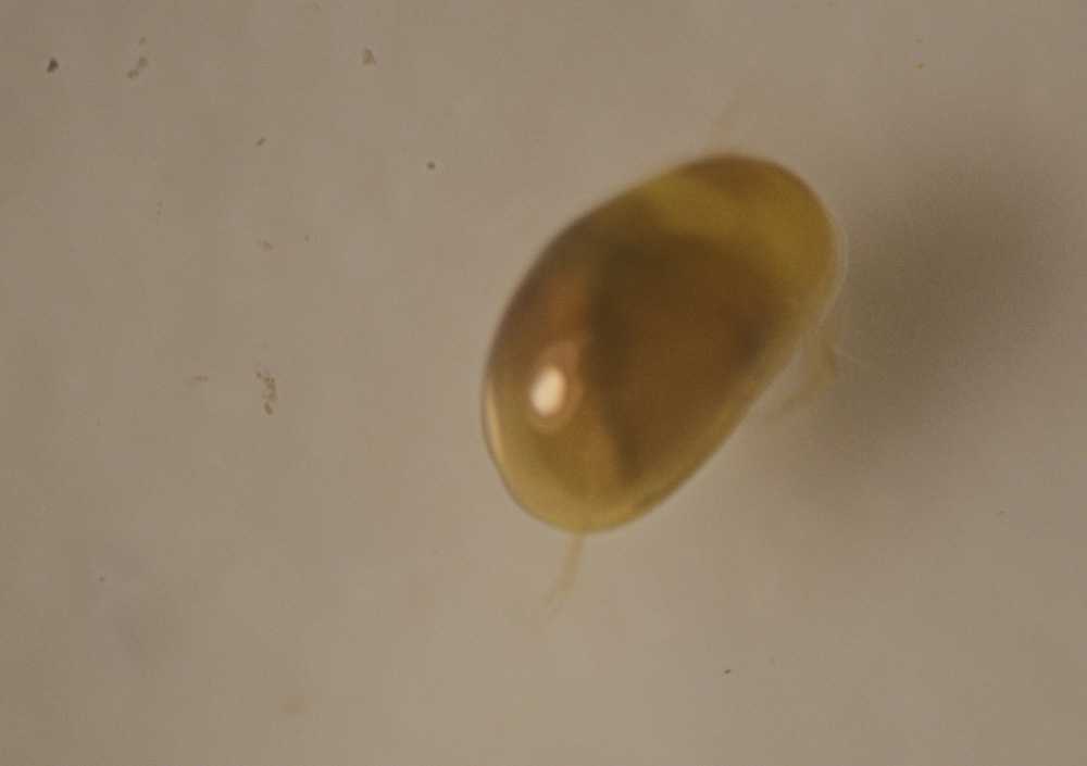 kutatas030