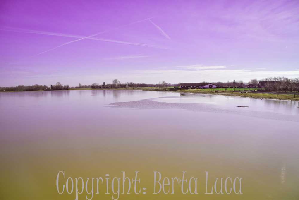 luca5
