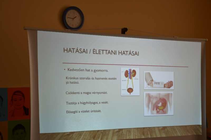 medvehagyma042-2