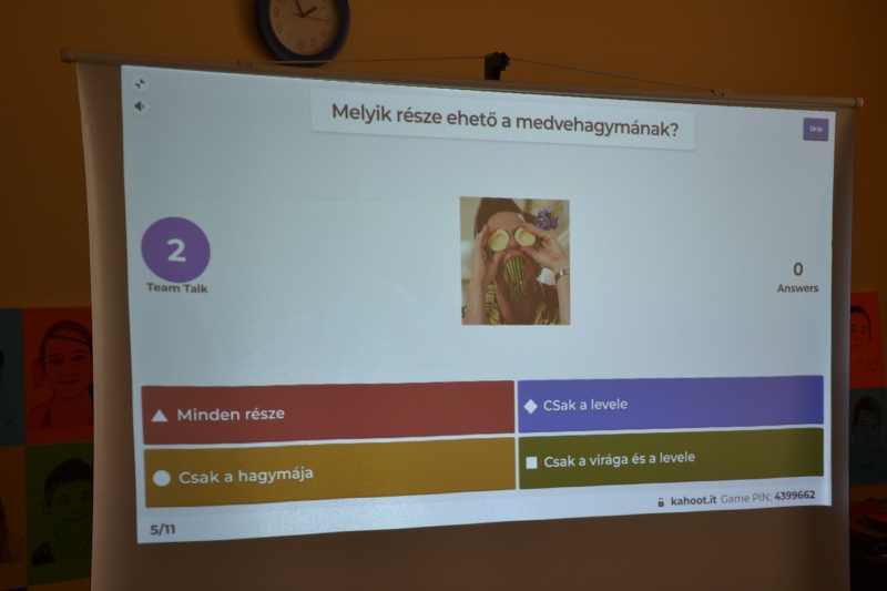 medvehagyma046-2