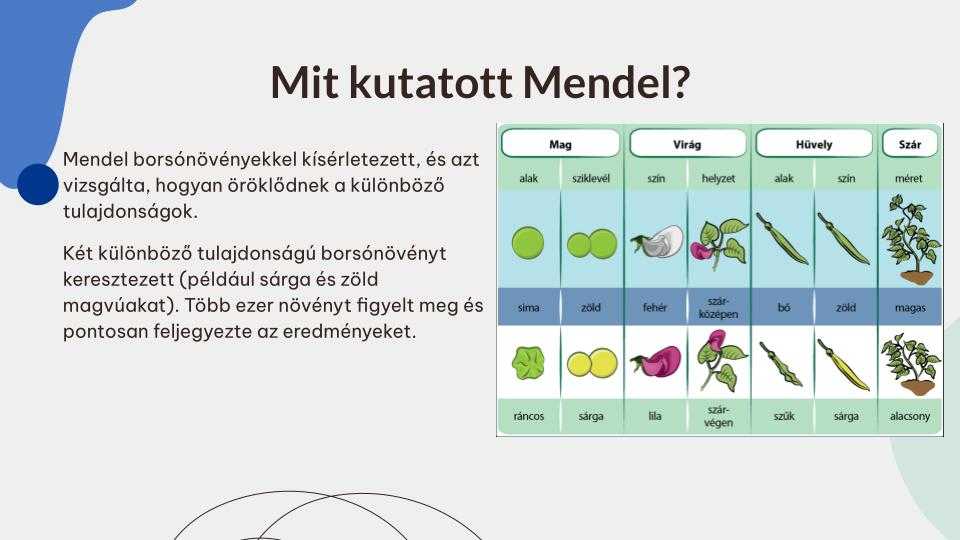 mendeli-genetika