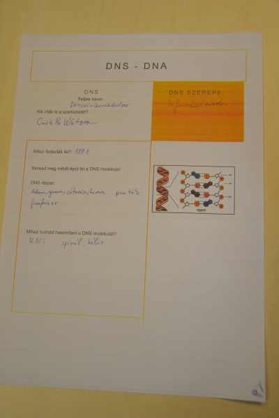 mozaik0021-1