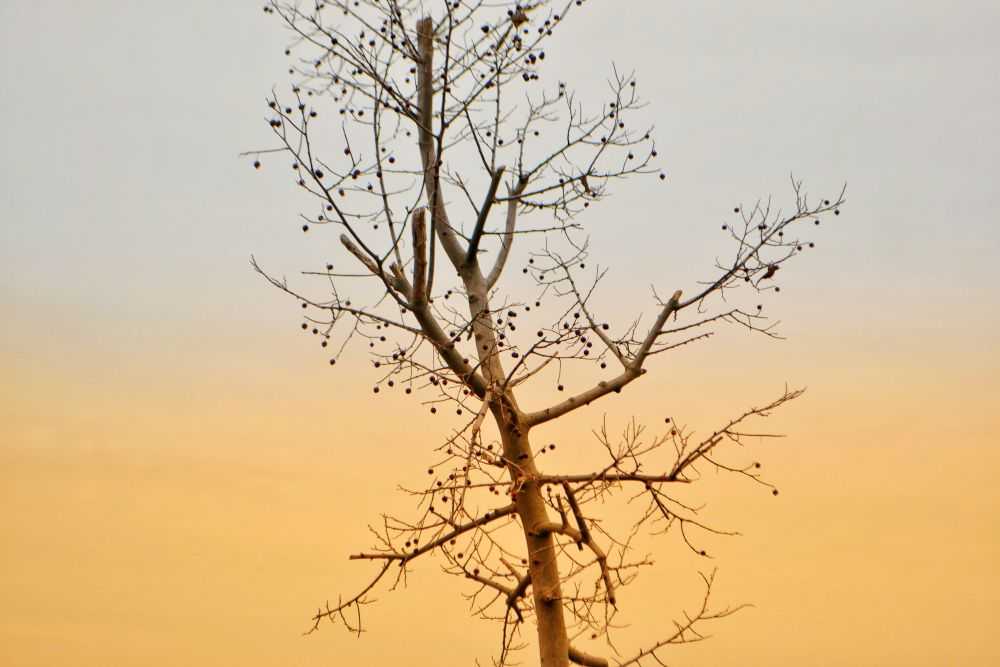 panna005-1-3