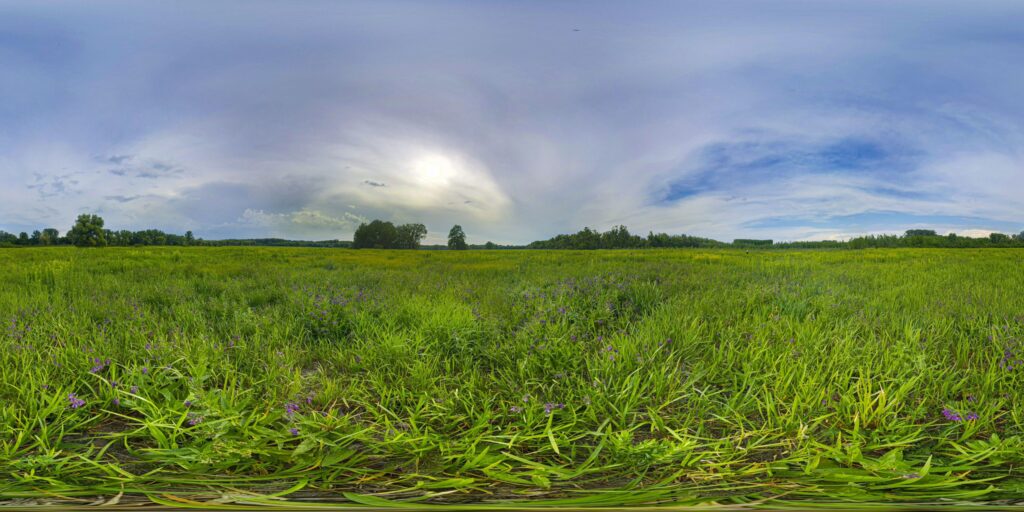pano-20200607-172541-2-scaled-1