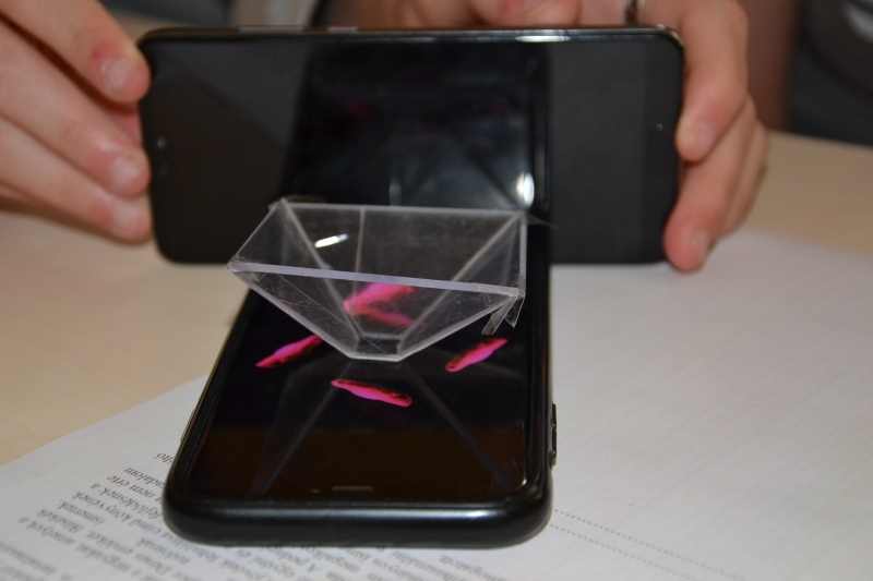 projekt0017
